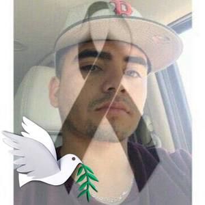 Meet your Posher, Pedro